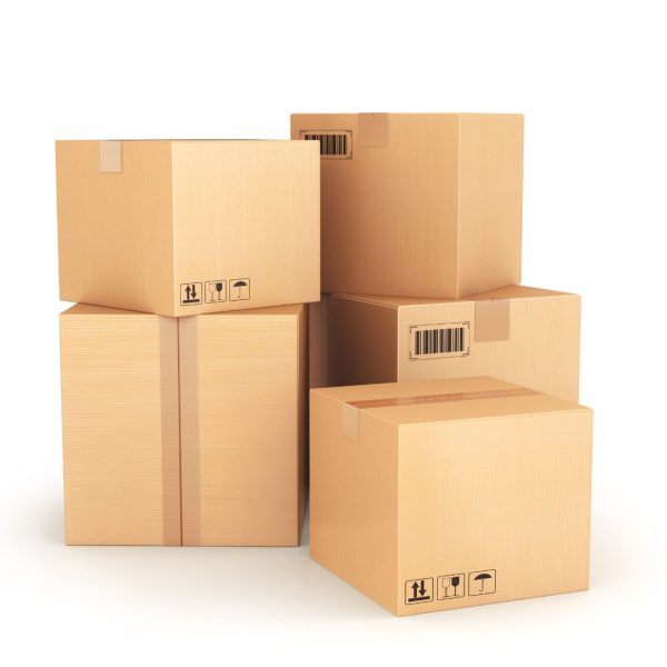 Vestibulum viverra vestibulum tortor